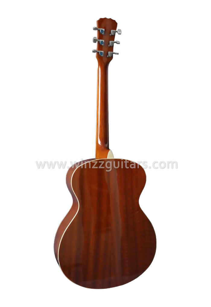 Spider Cone Plywood Electric Resonator Guitar/Resophonic Guitar (RGS88