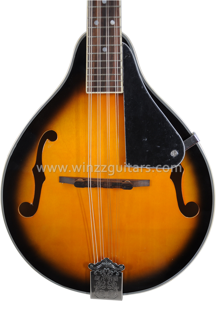 Mandolins With Traditional And Modern Designs AILEEN