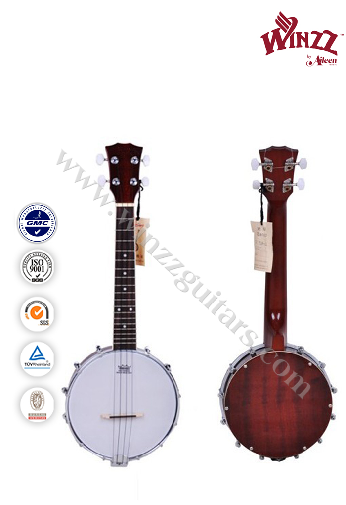 REMO Head 4 String Chinese Banjo Ukulele (AB12U) Aileen Music