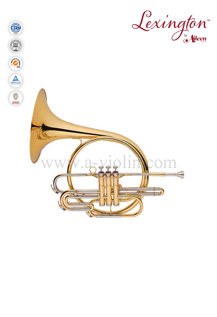 Piston Valves French Horn Music Instrument (FH7036PG) Aileen Music
