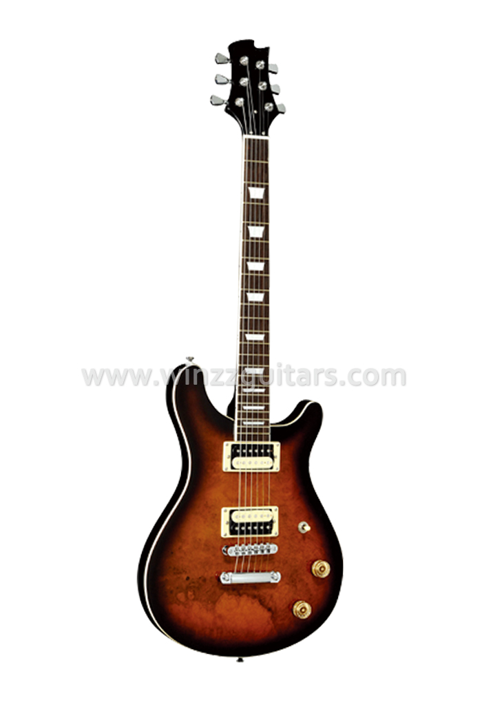 PRS Style Electric Guitar Rock Series (EGR300) Aileen Music