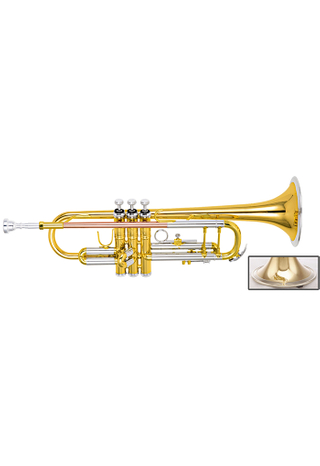 bB Key High Grade Trumpet(TP-H360GS-SRY)
