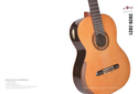 Aileen Music - Fretted instruments_0.jpg