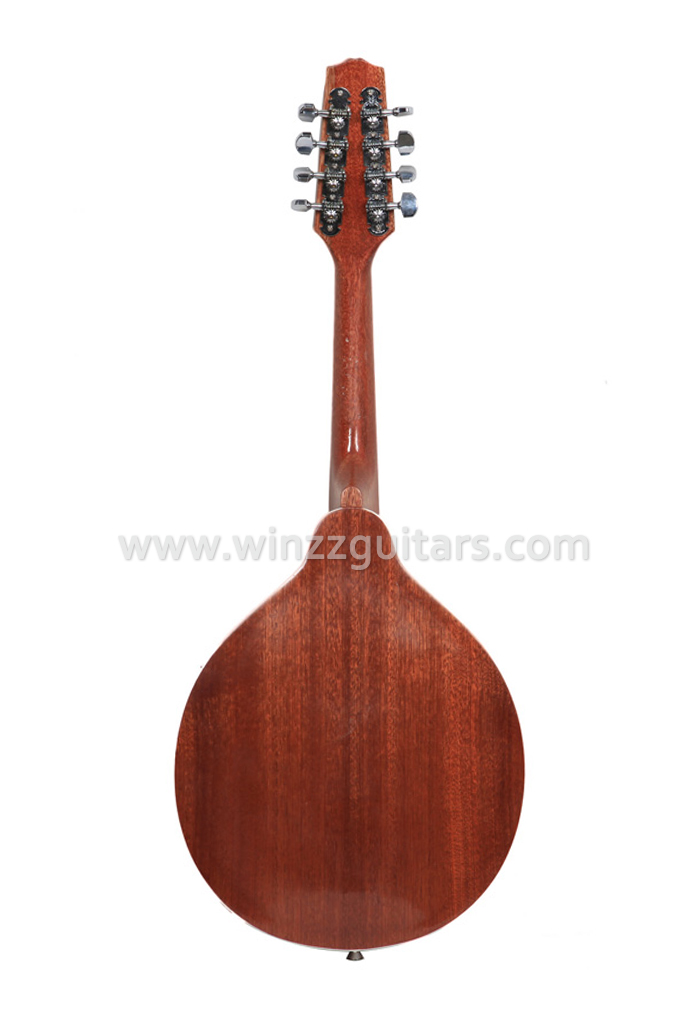 Mandolins With Traditional And Modern Designs AILEEN